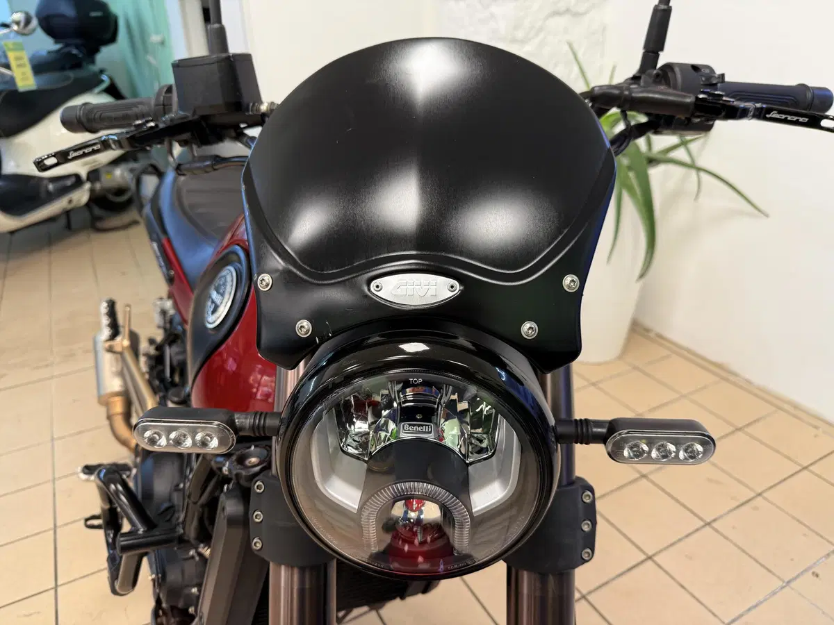 Benelli Leoncino 500 ABS (2017 - 20) (5)