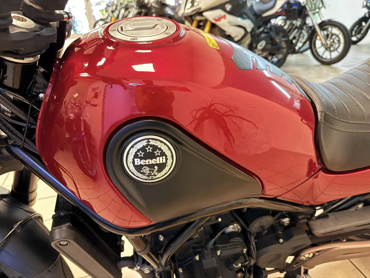 Benelli Leoncino 500 ABS (2017 - 20) (6)