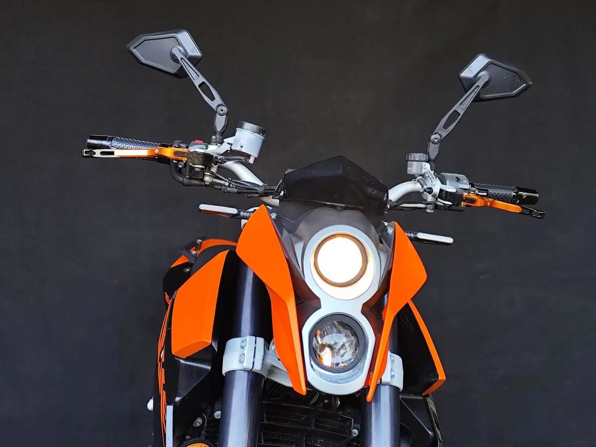 KTM 690 Duke (2007 - 09) (10)