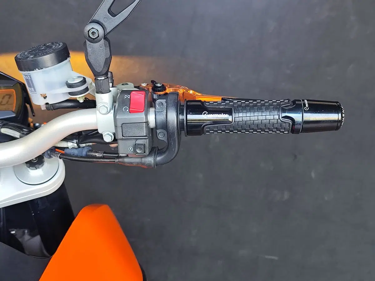 KTM 690 Duke (2007 - 09) (14)
