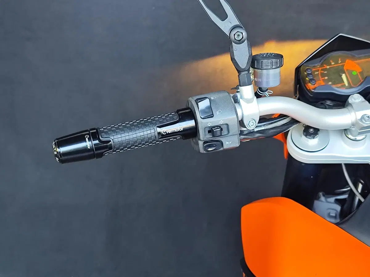 KTM 690 Duke (2007 - 09) (15)