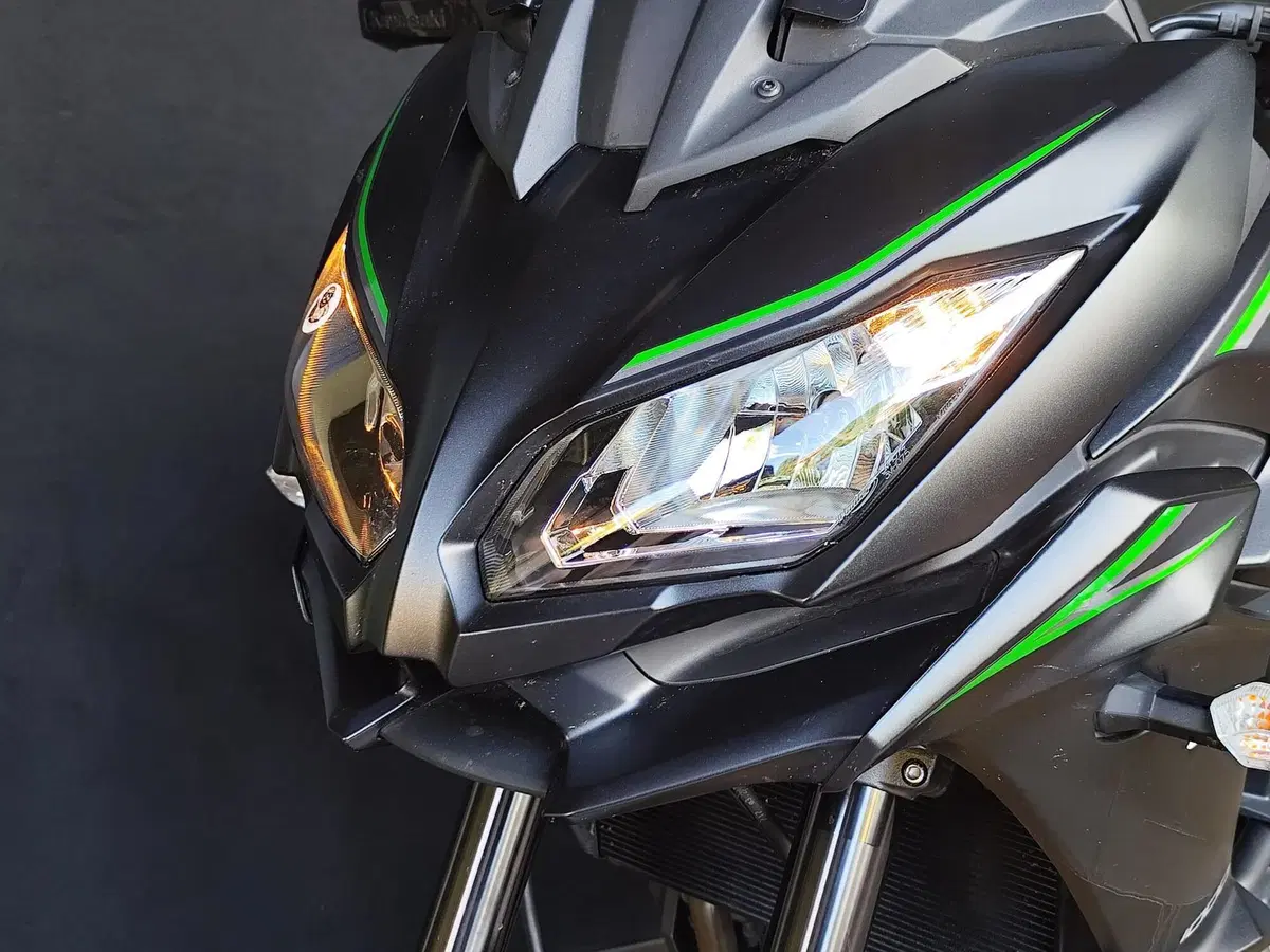 Kawasaki Versys 1000 (2019 - 20) (10)
