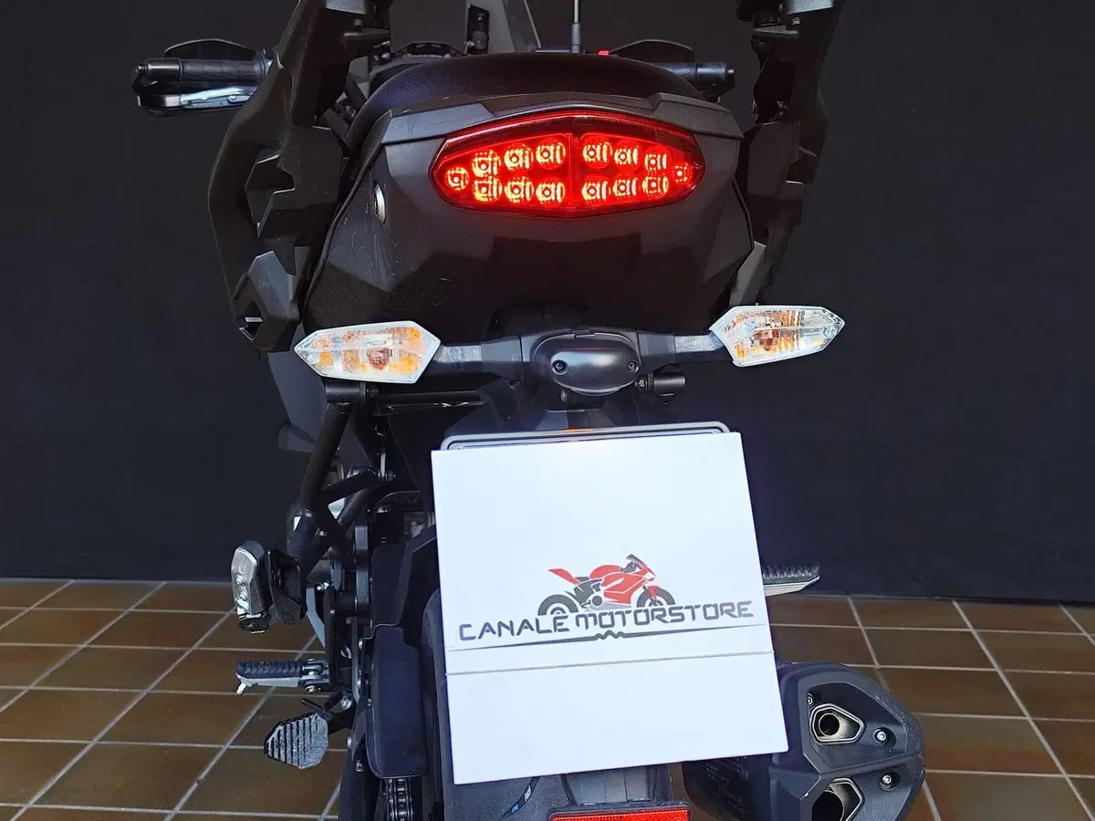 Kawasaki Versys 1000 (2019 - 20) (13)