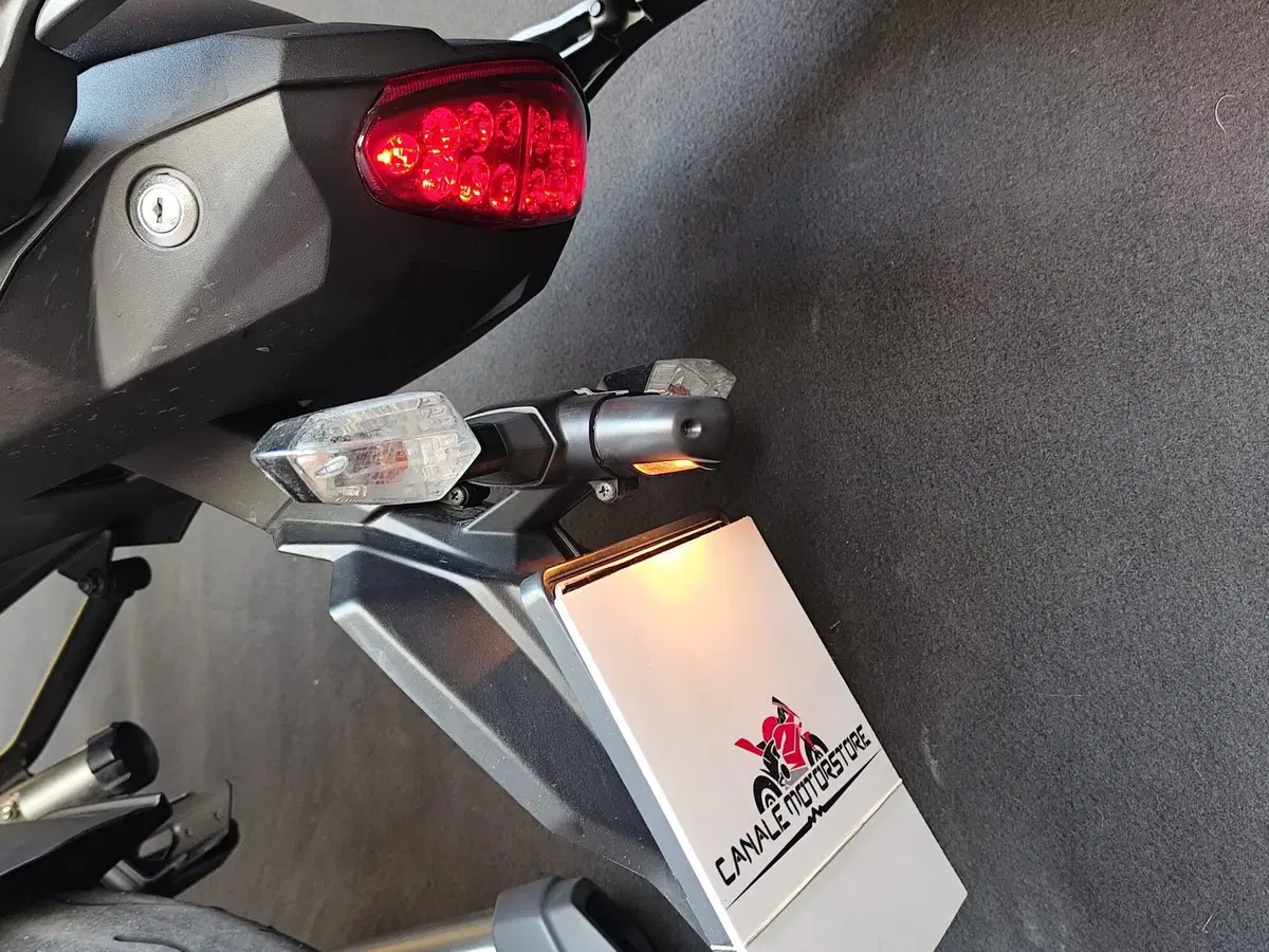 Kawasaki Versys 1000 (2019 - 20) (14)
