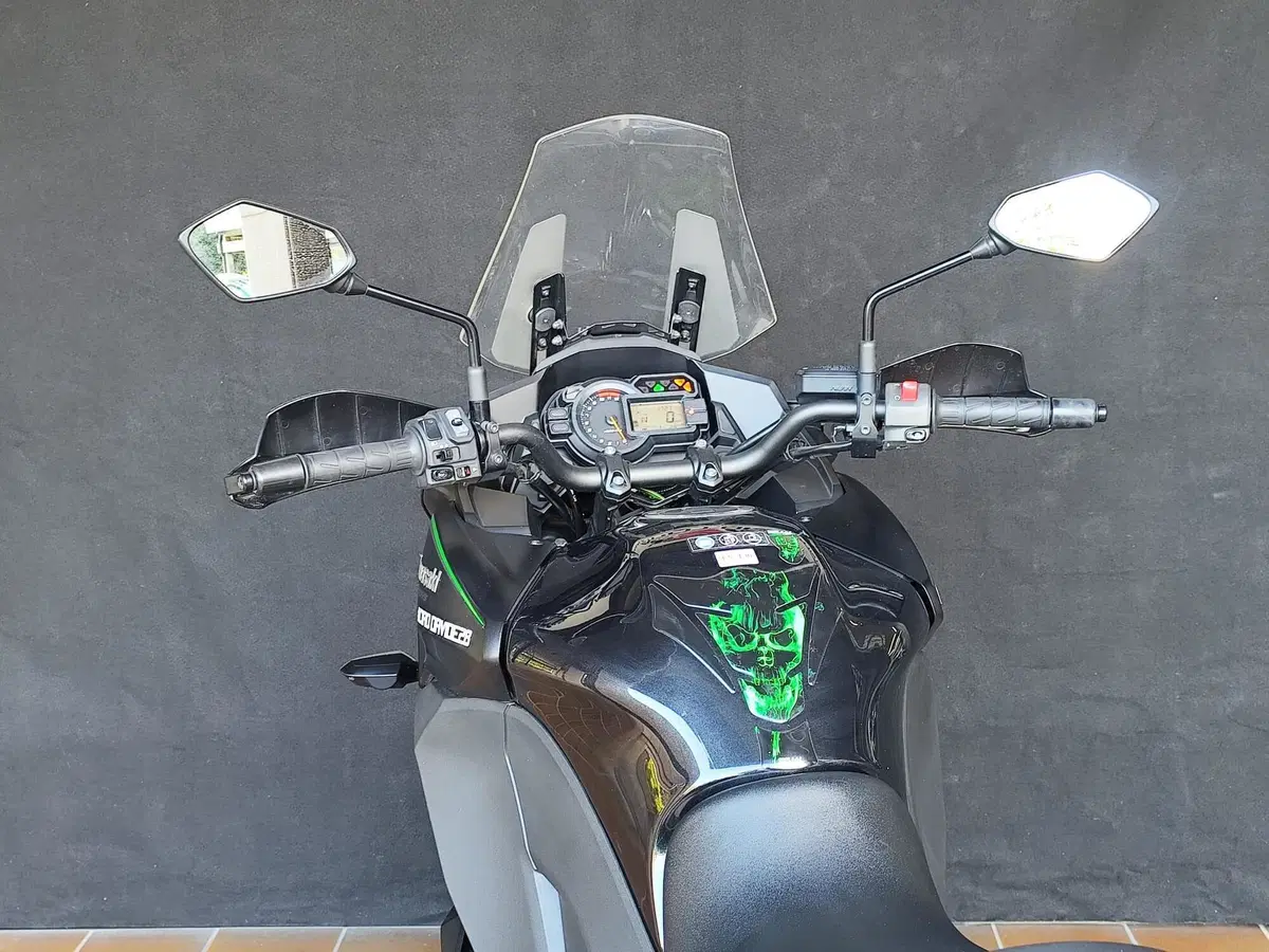 Kawasaki Versys 1000 (2019 - 20) (15)
