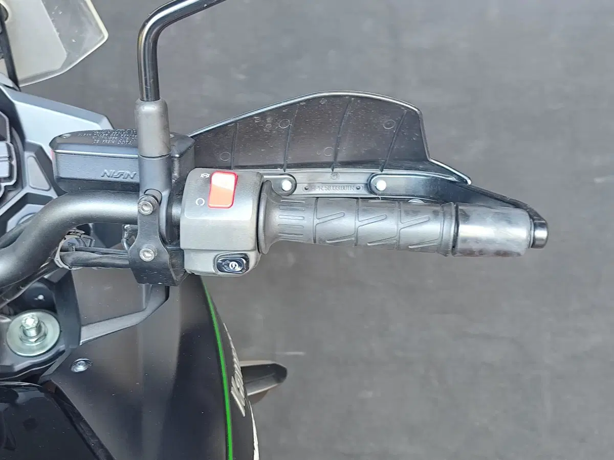 Kawasaki Versys 1000 (2019 - 20) (16)