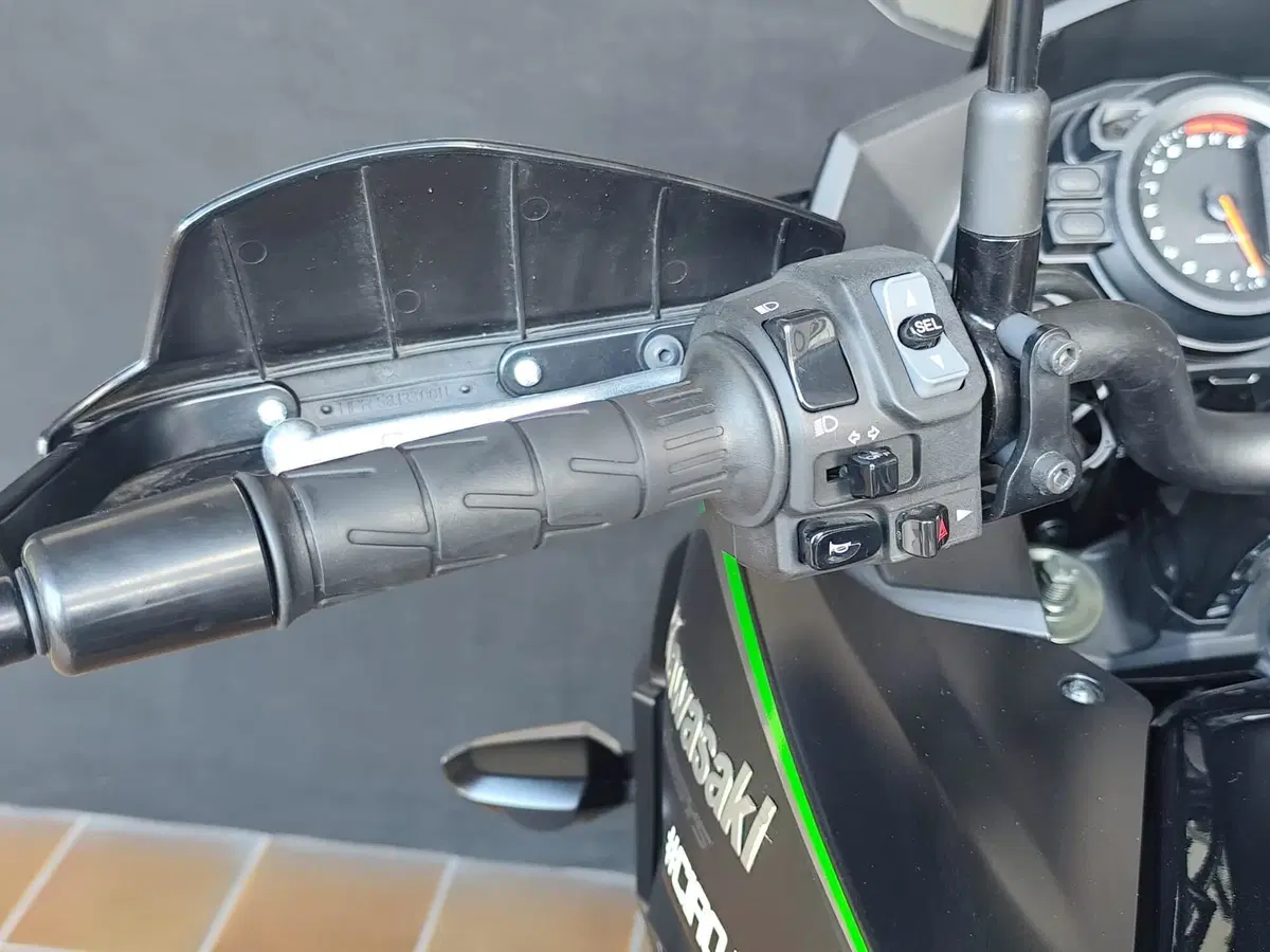 Kawasaki Versys 1000 (2019 - 20) (17)