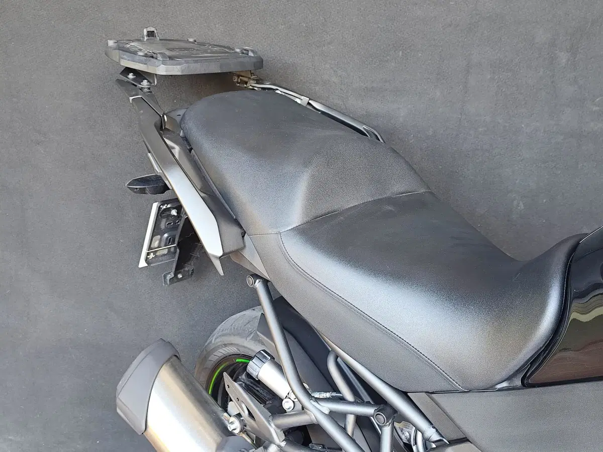 Kawasaki Versys 1000 (2019 - 20) (20)