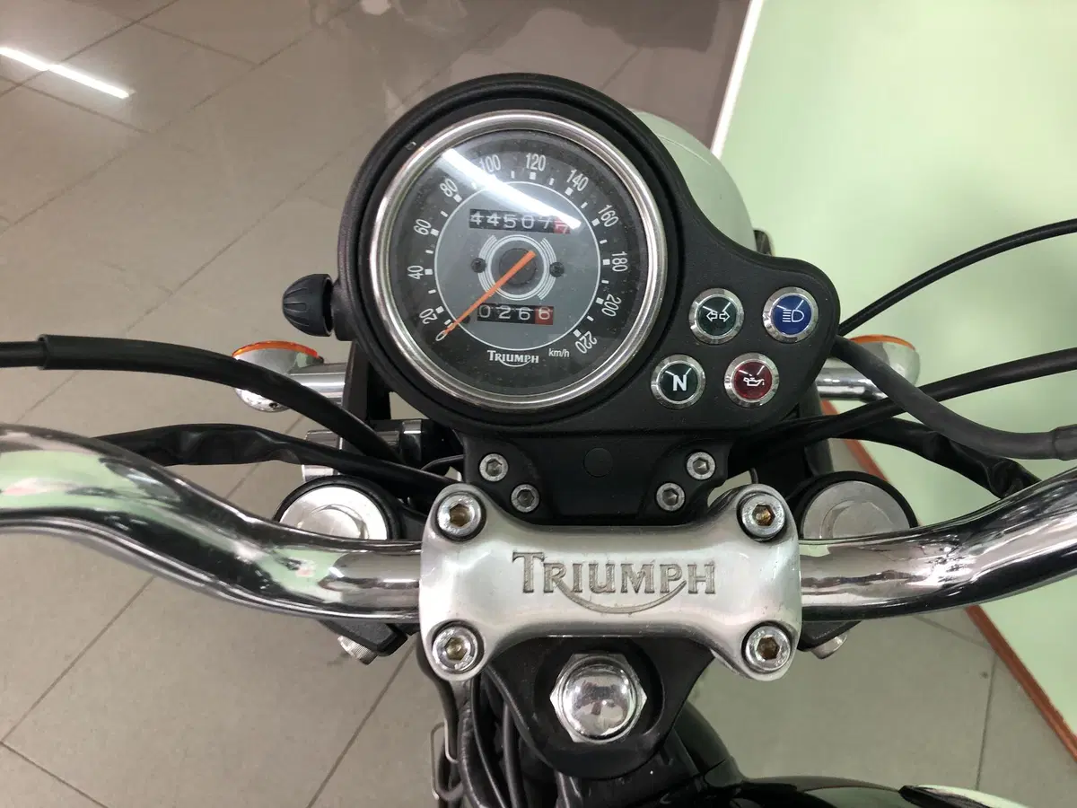 Triumph Bonneville T100 (2001 - 07) (13)