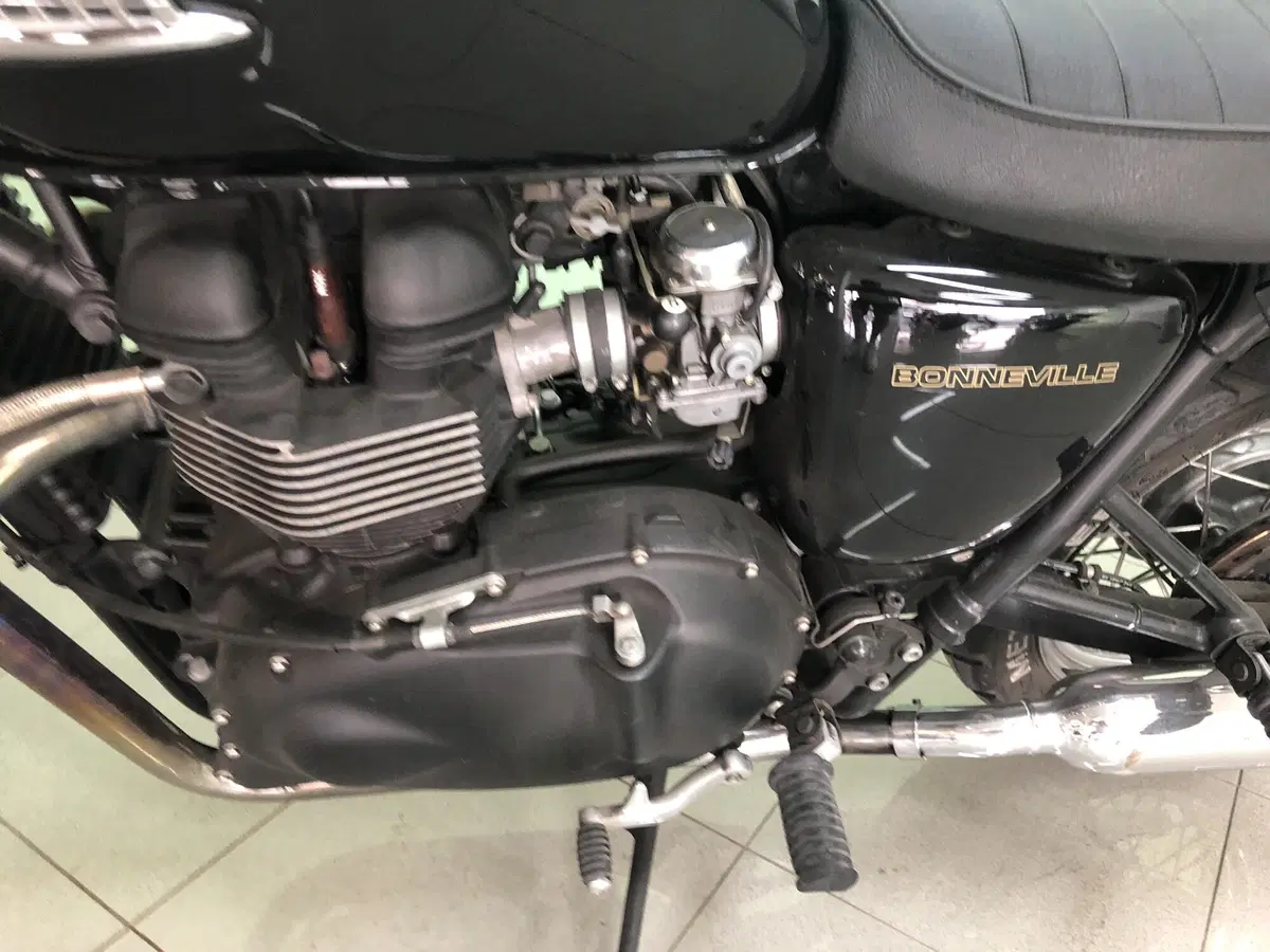 Triumph Bonneville T100 (2001 - 07) (19)