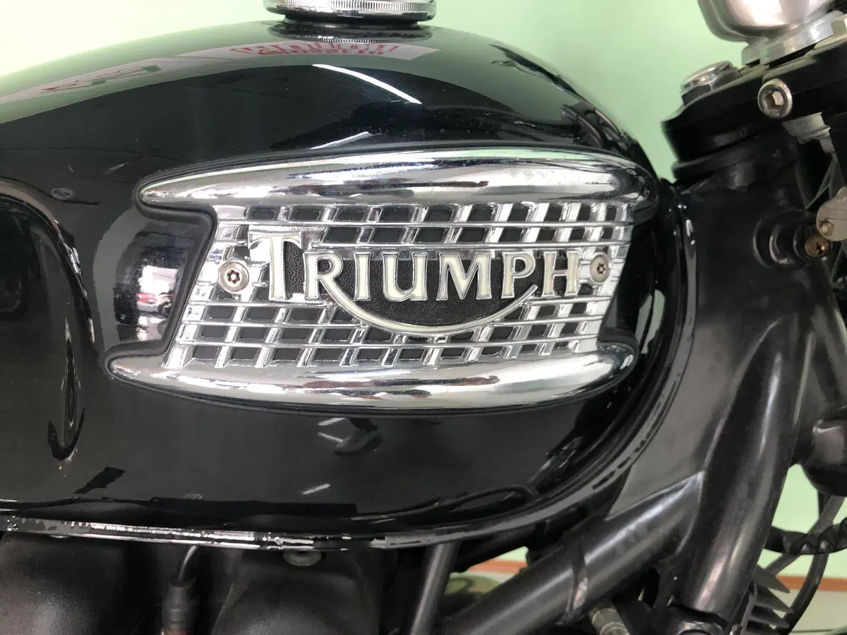 Triumph Bonneville T100 (2001 - 07) (20)