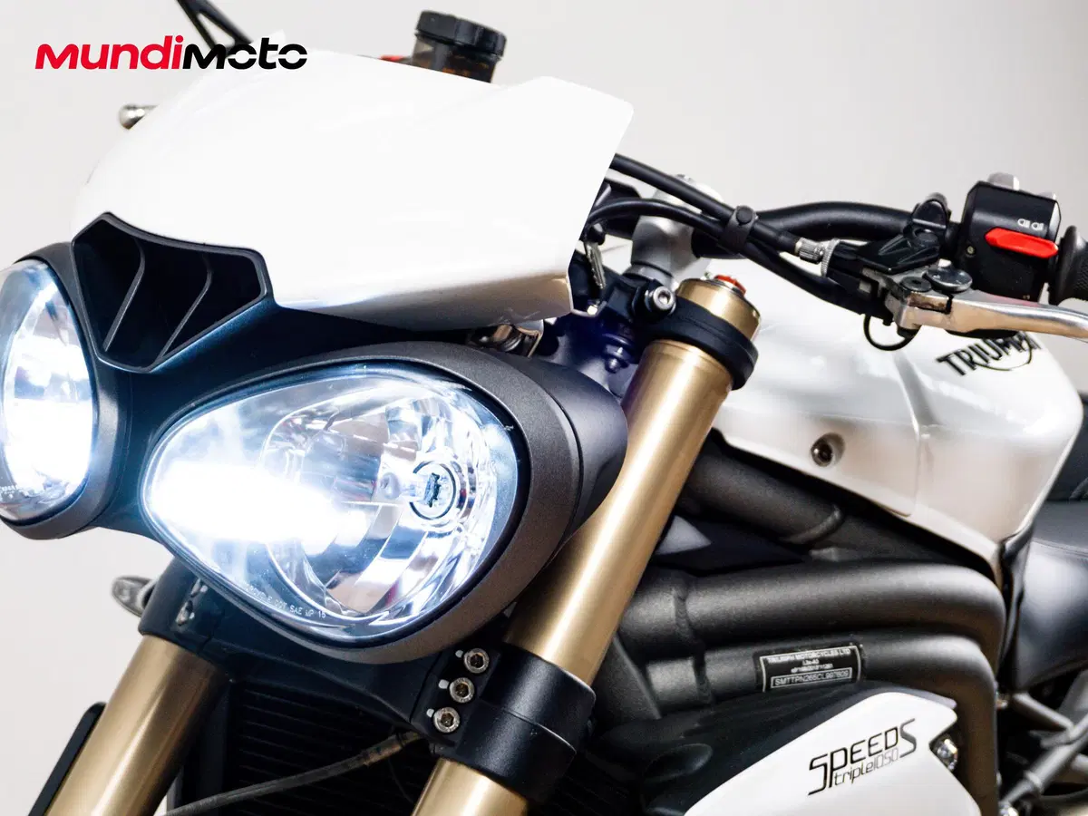 Triumph Speed Triple 1050 S ABS (2016 - 17) (17)