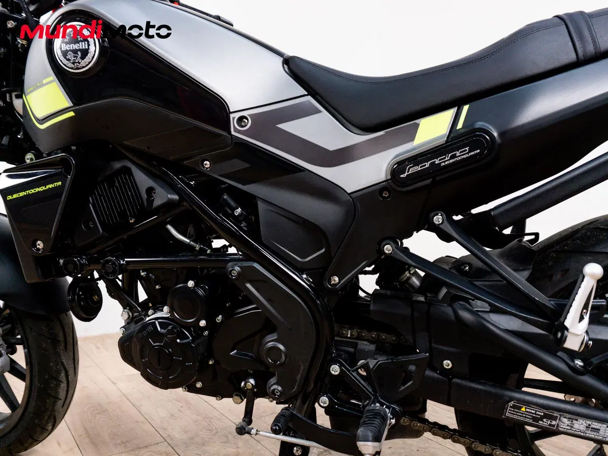 Benelli Leoncino 250 (2019 - 20) (10)