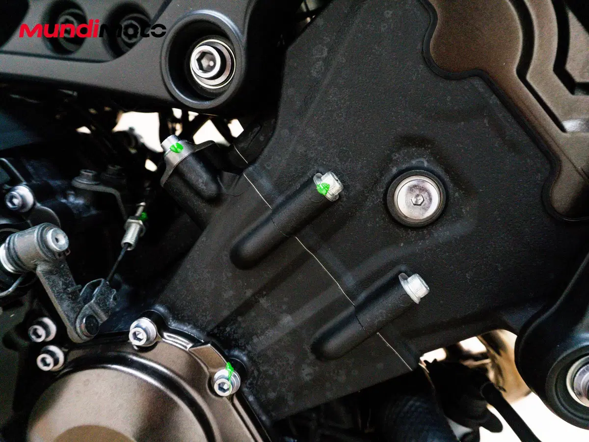 Yamaha MT-09 SP (2018 - 20) (12)