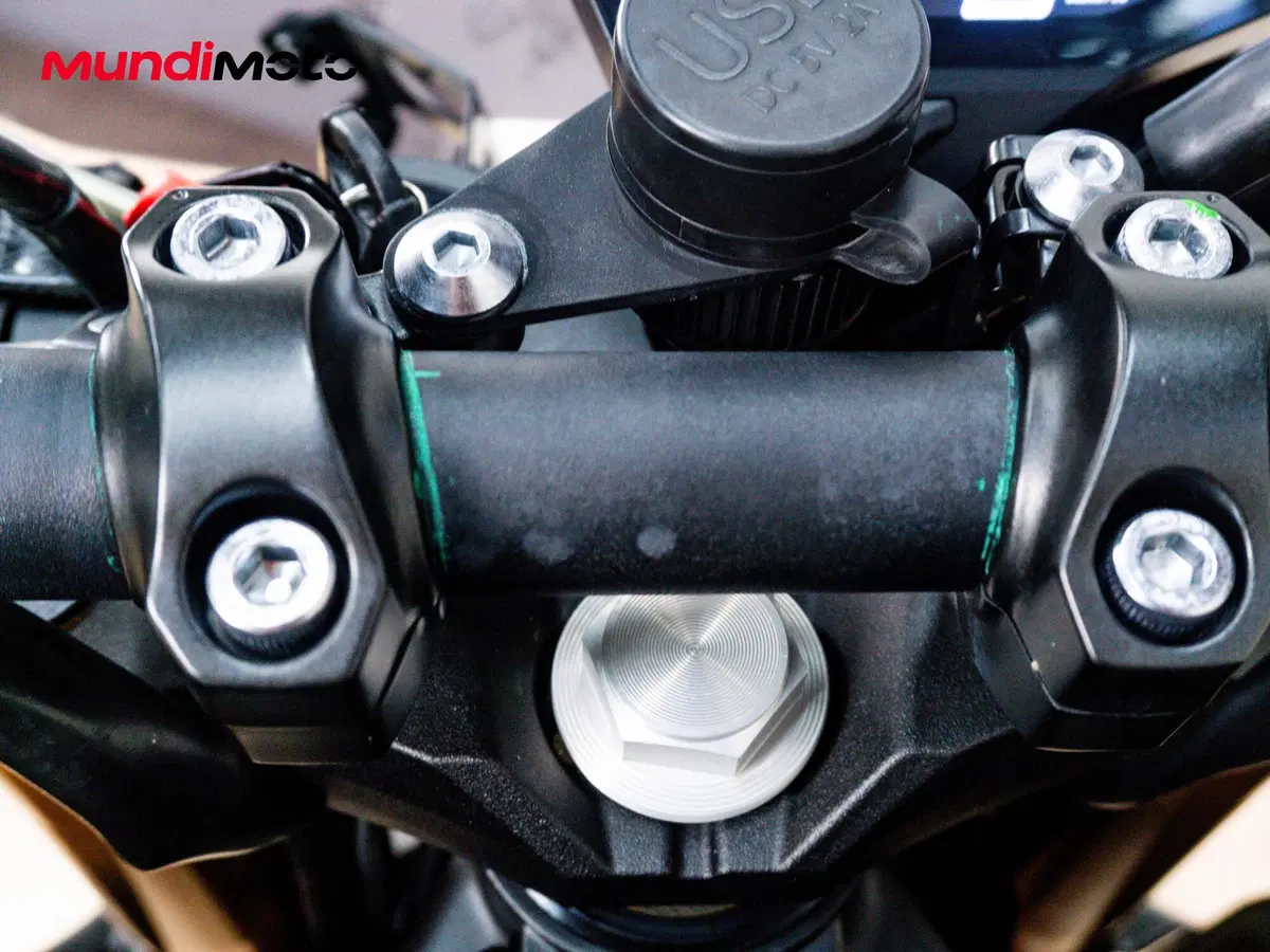 Yamaha MT-09 SP (2018 - 20) (17)