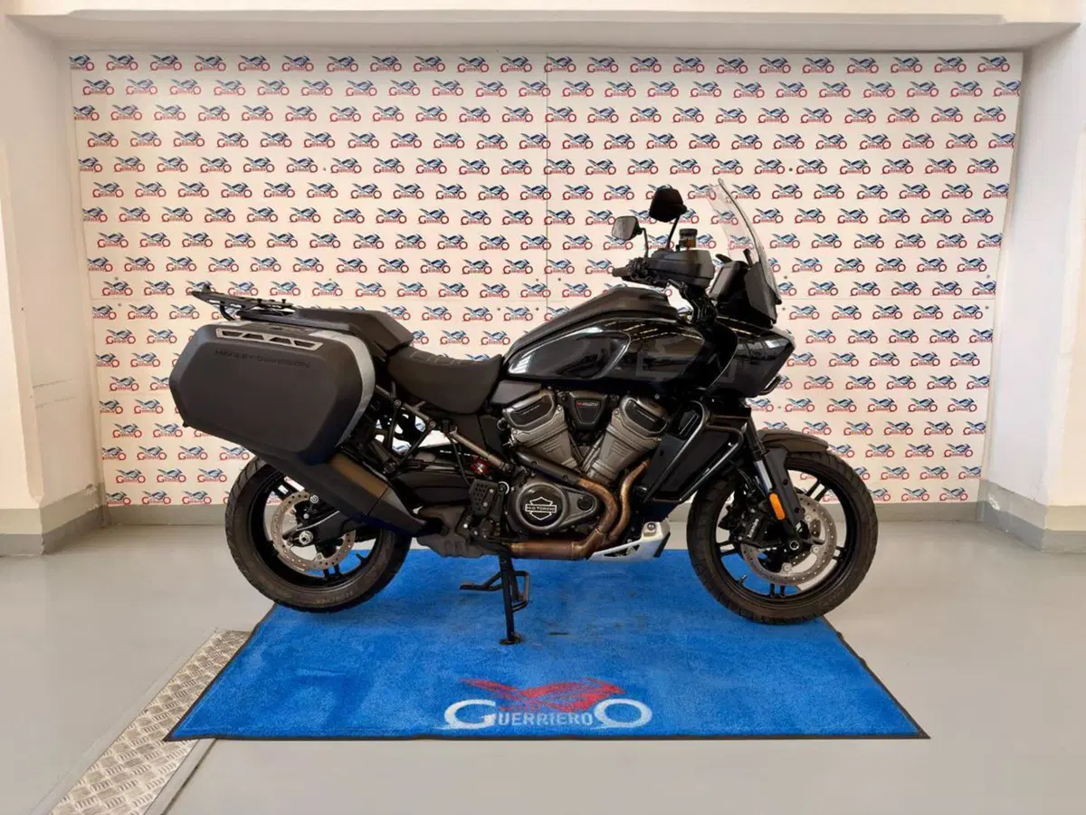 Harley-Davidson Pan America 1250 Special (2020 - 25) (3)