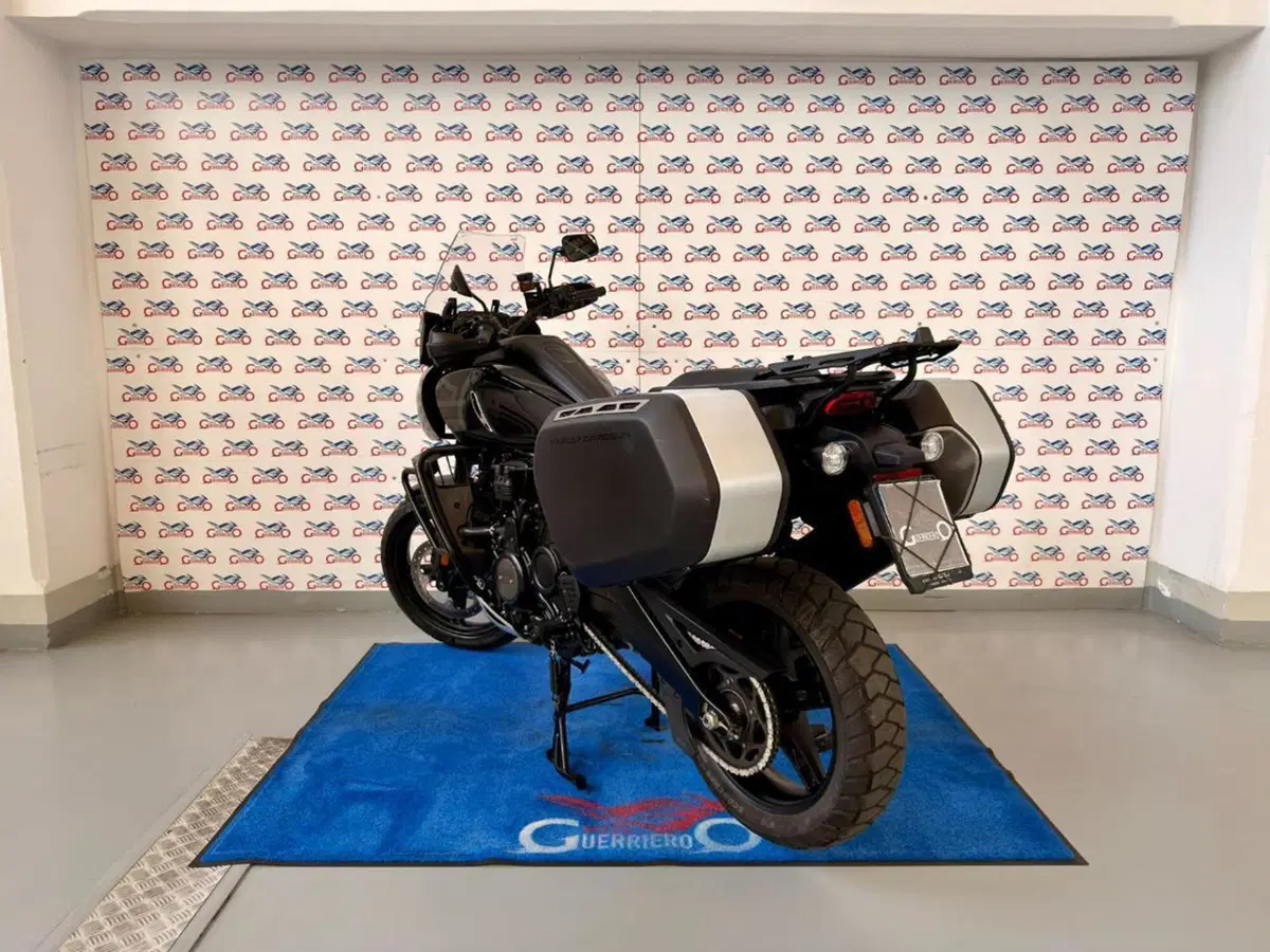 Harley-Davidson Pan America 1250 Special (2020 - 25) (4)
