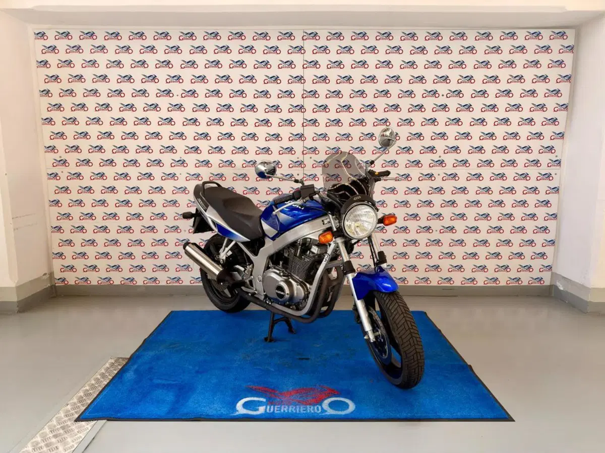 Suzuki GS 500 (2001 - 06) (2)