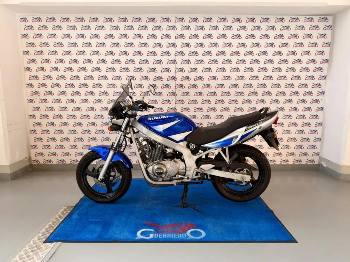 Suzuki GS 500 (2001 - 06)