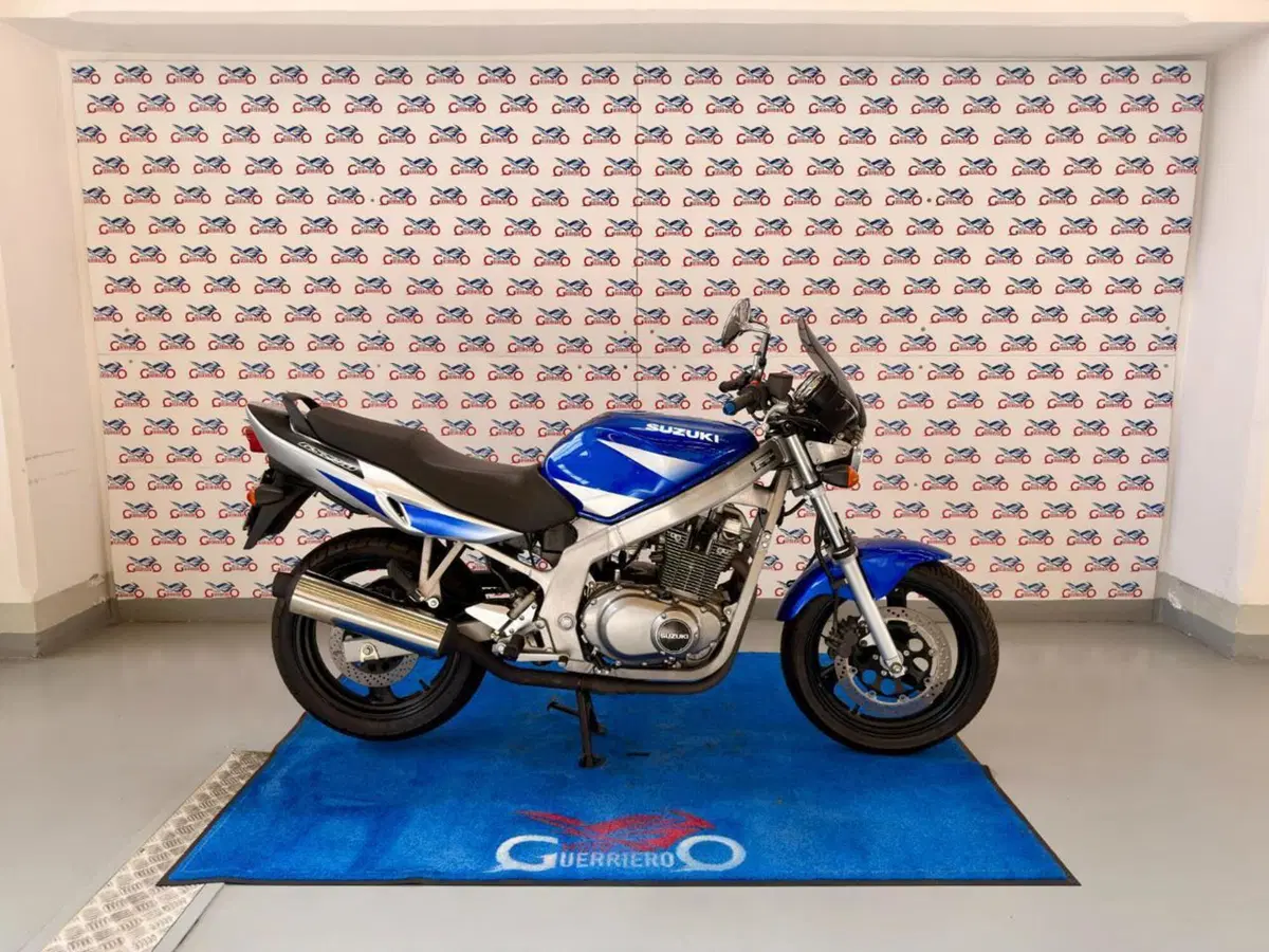 Suzuki GS 500 (2001 - 06) (3)