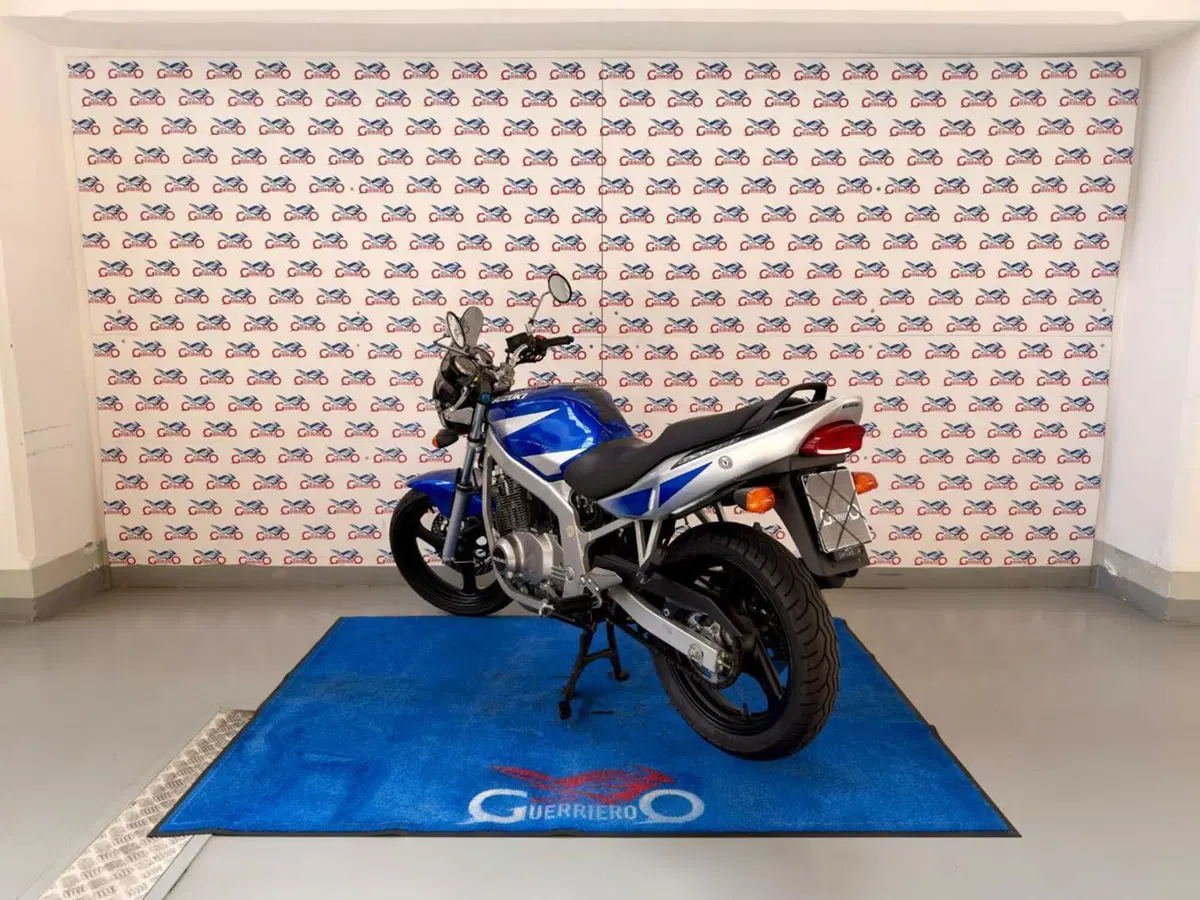 Suzuki GS 500 (2001 - 06) (4)