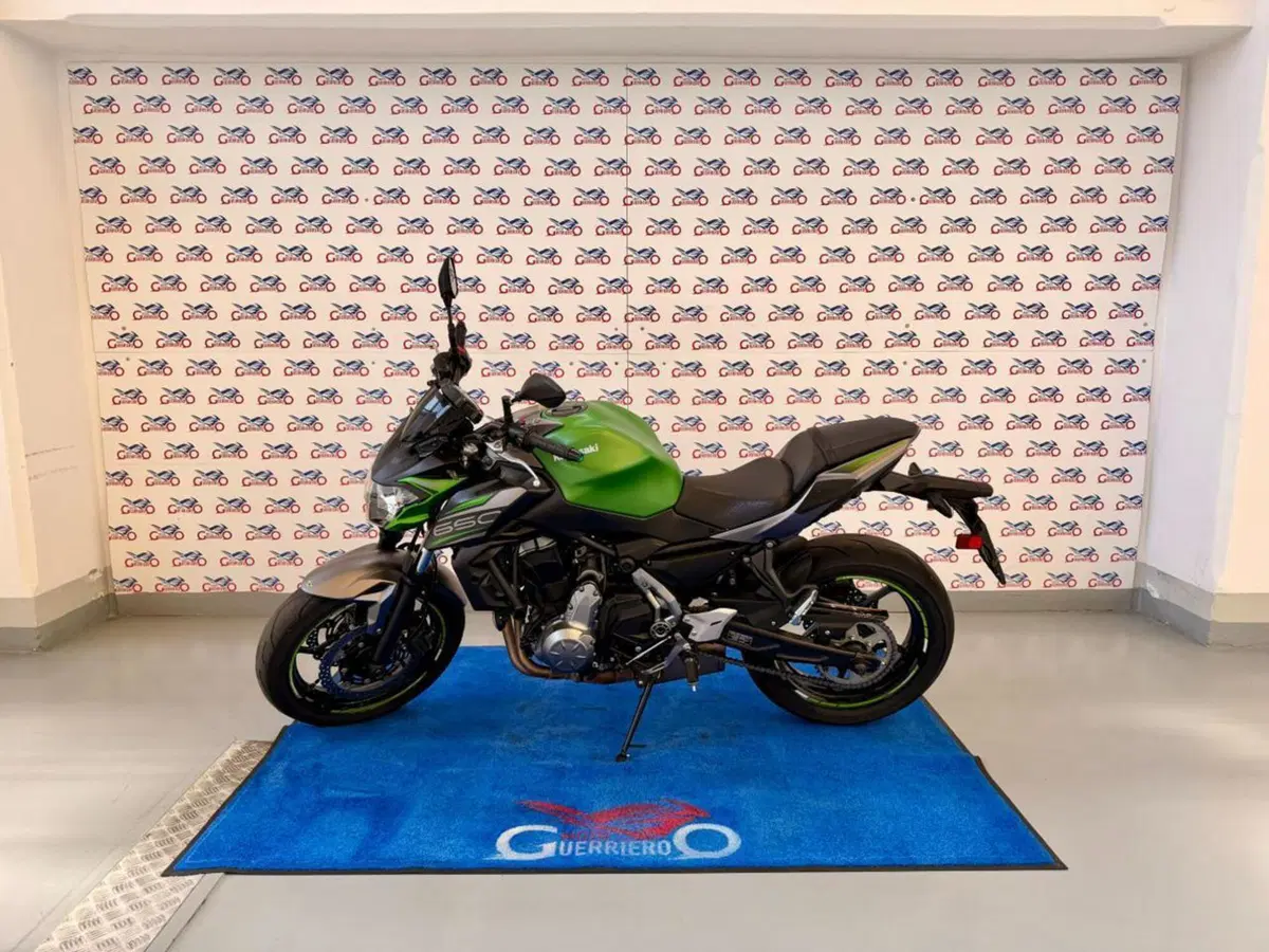Kawasaki Z 650 (2017 - 19)