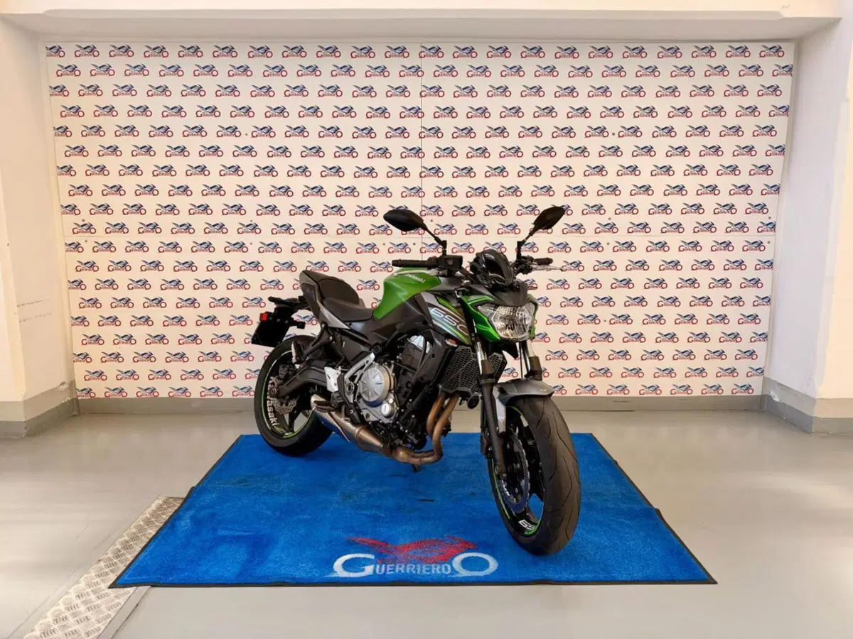 Kawasaki Z 650 (2017 - 19) (2)