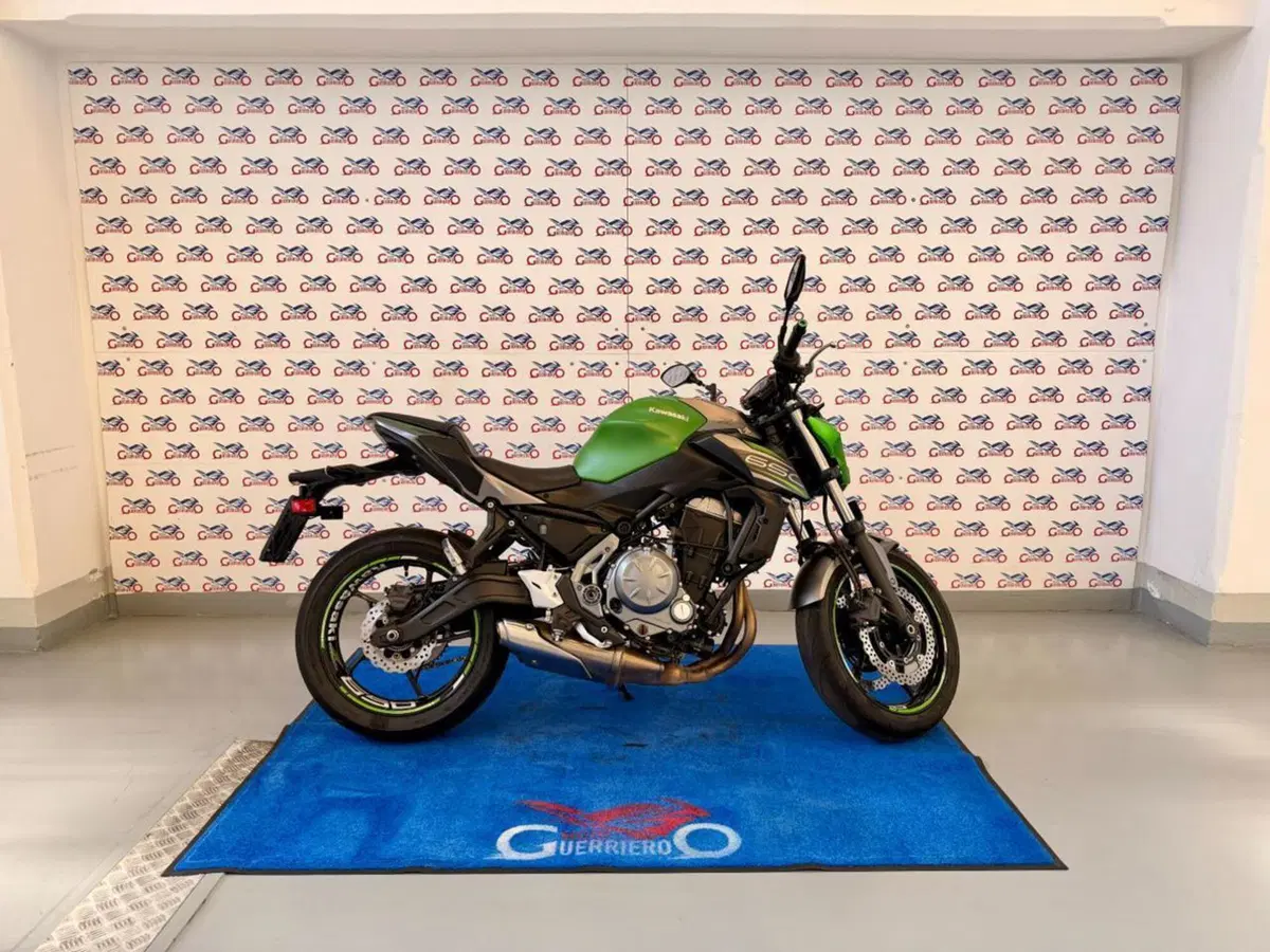 Kawasaki Z 650 (2017 - 19) (3)