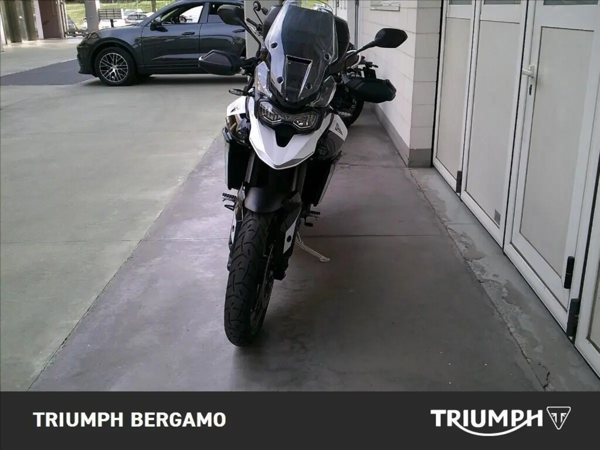 Triumph Tiger 900 GT (2024 - 26) (5)