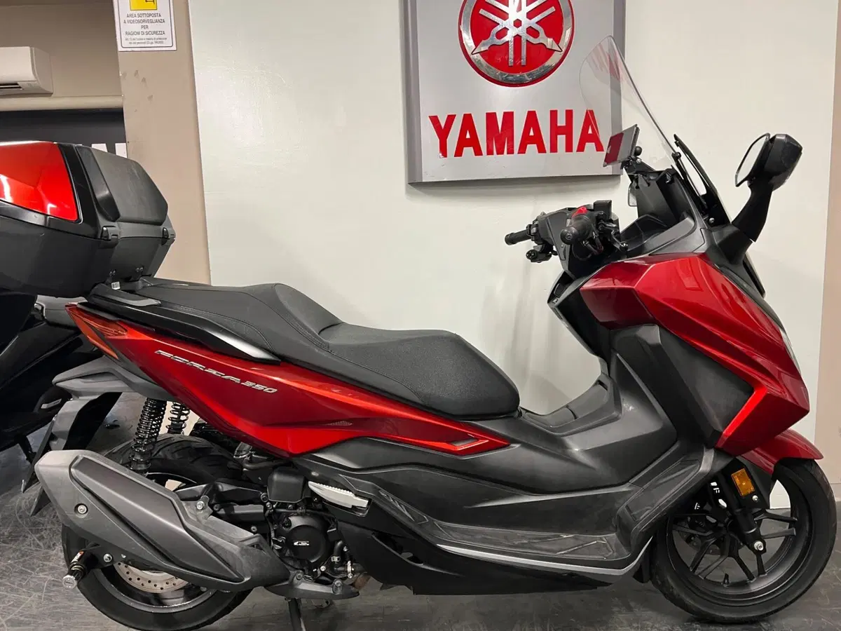 Honda Forza 350 (2022 - 24)