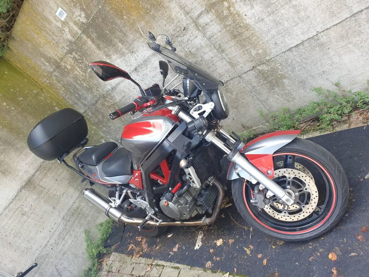 Suzuki SV 650 (2006 - 11) (3)