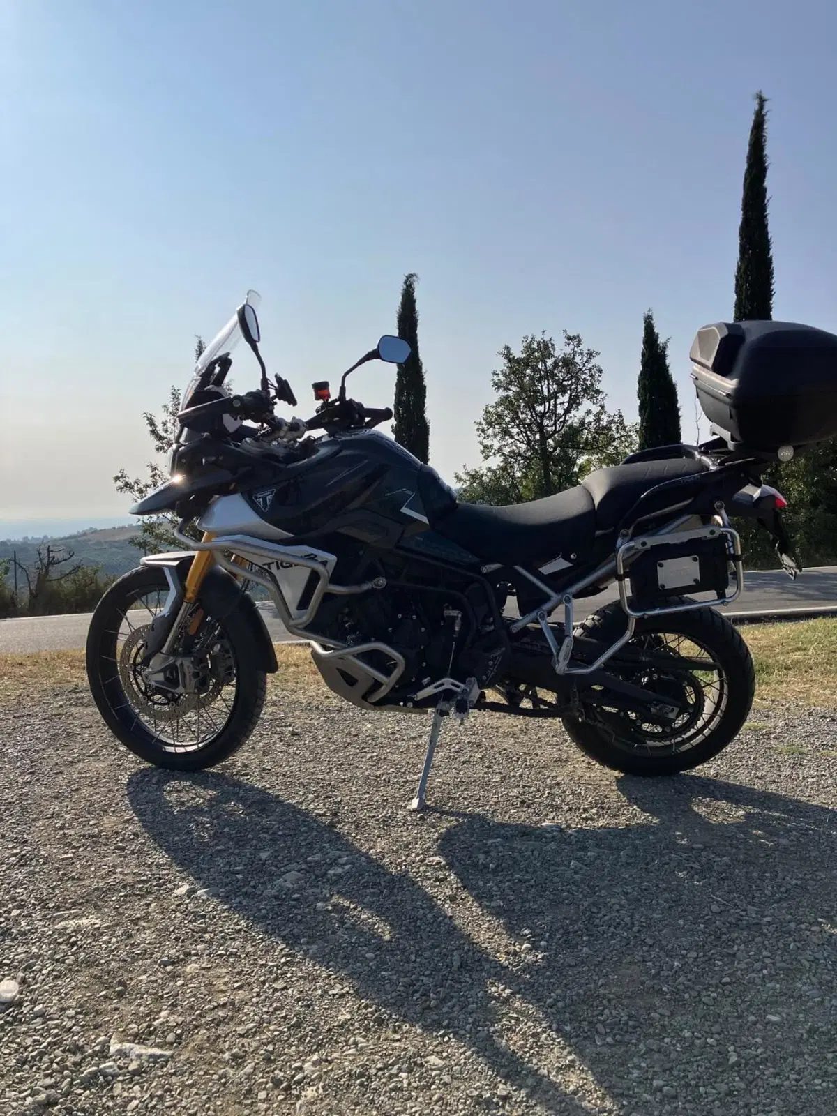 Triumph Tiger 900 Rally Pro (2024 - 26) (3)