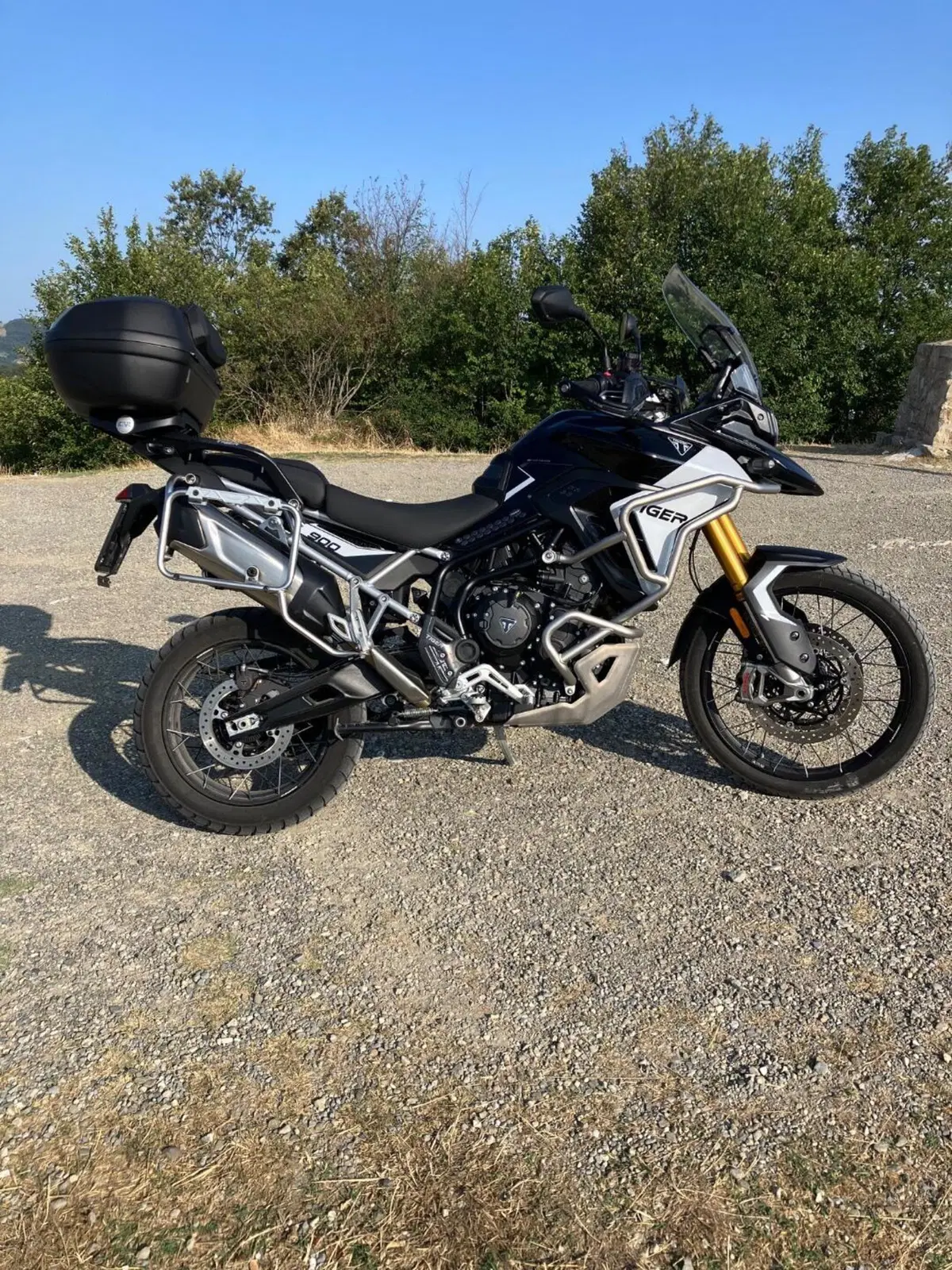 Triumph Tiger 900 Rally Pro (2024 - 26) (2)