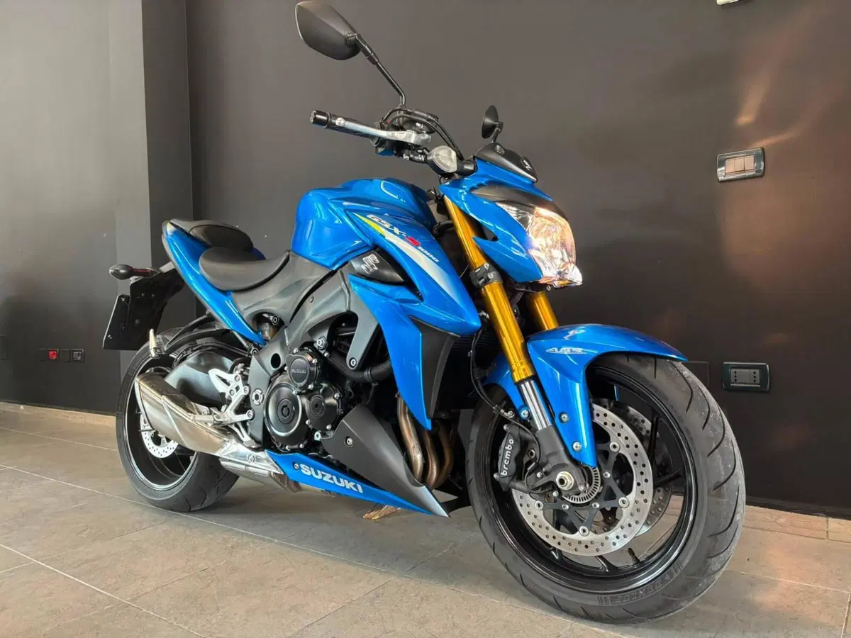 Suzuki GSX-S1000 ABS (2015 - 17) (3)