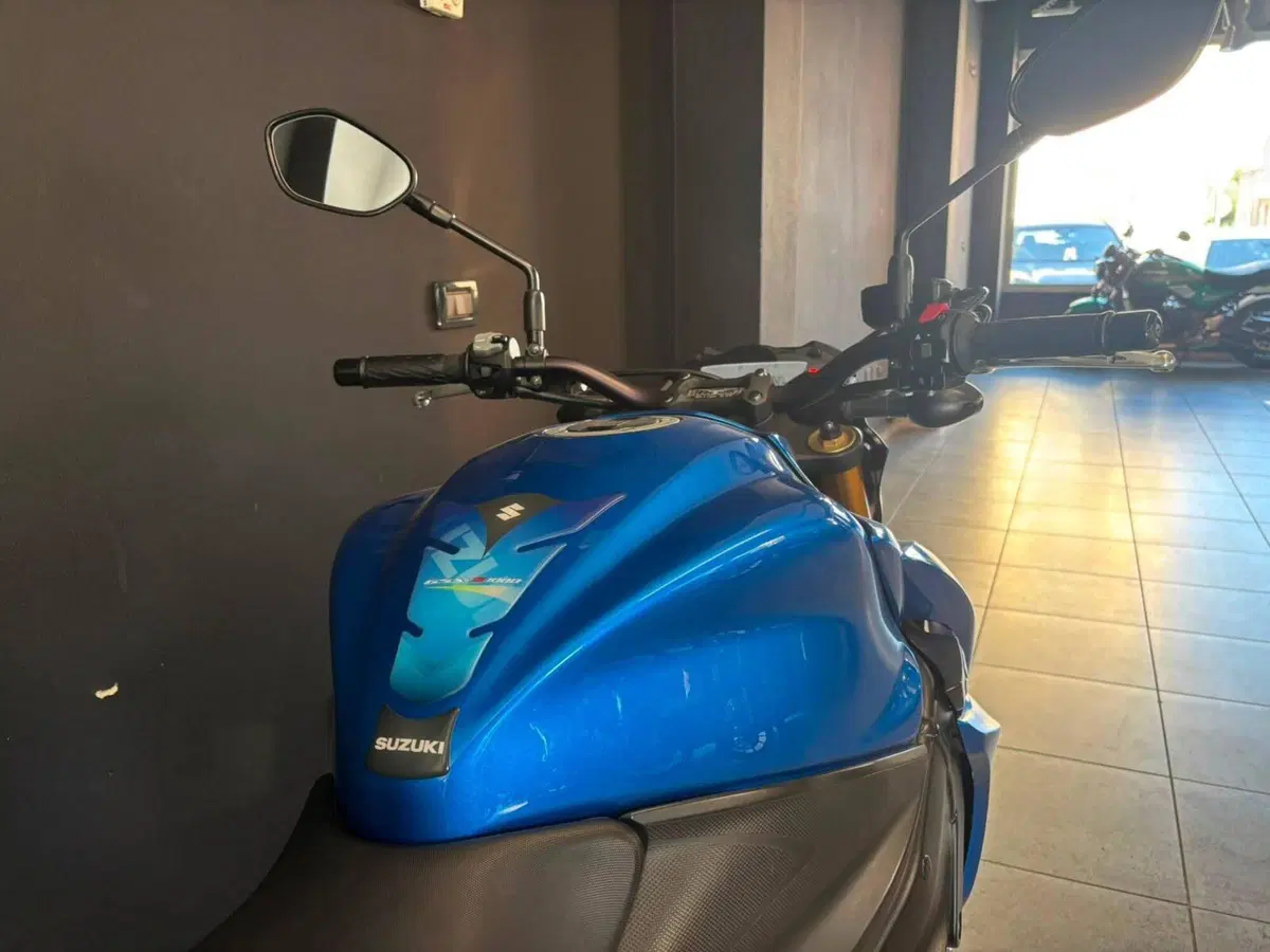Suzuki GSX-S1000 ABS (2015 - 17) (7)