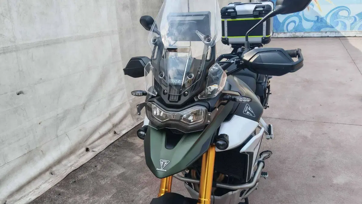 Triumph Tiger 900 Rally Pro (2024 - 26) (3)