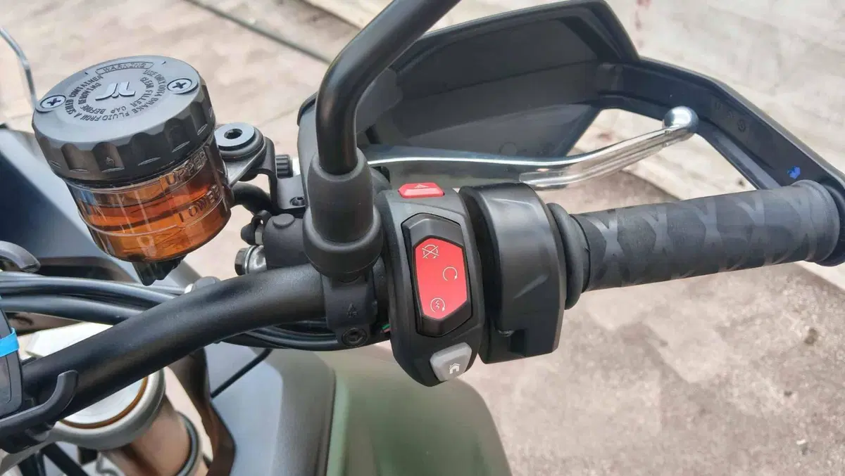 Triumph Tiger 900 Rally Pro (2024 - 26) (5)