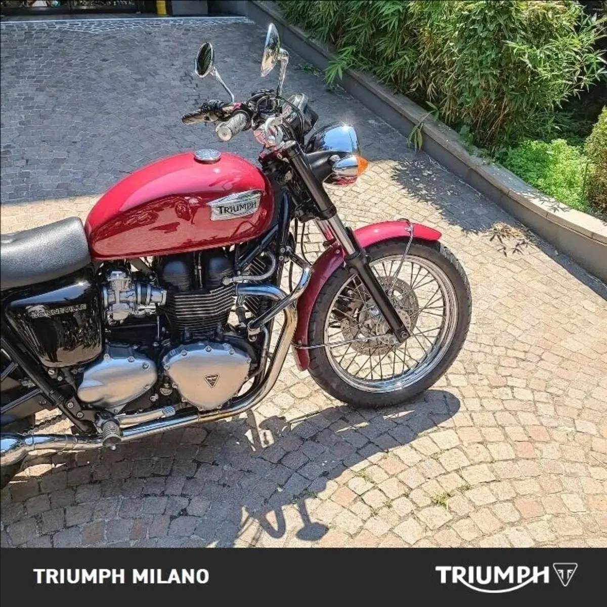 Triumph Bonneville (2007 - 16) (3)
