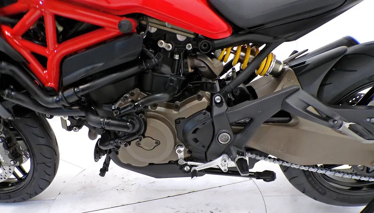 Ducati Monster 821 ABS (2014 - 17) (7)