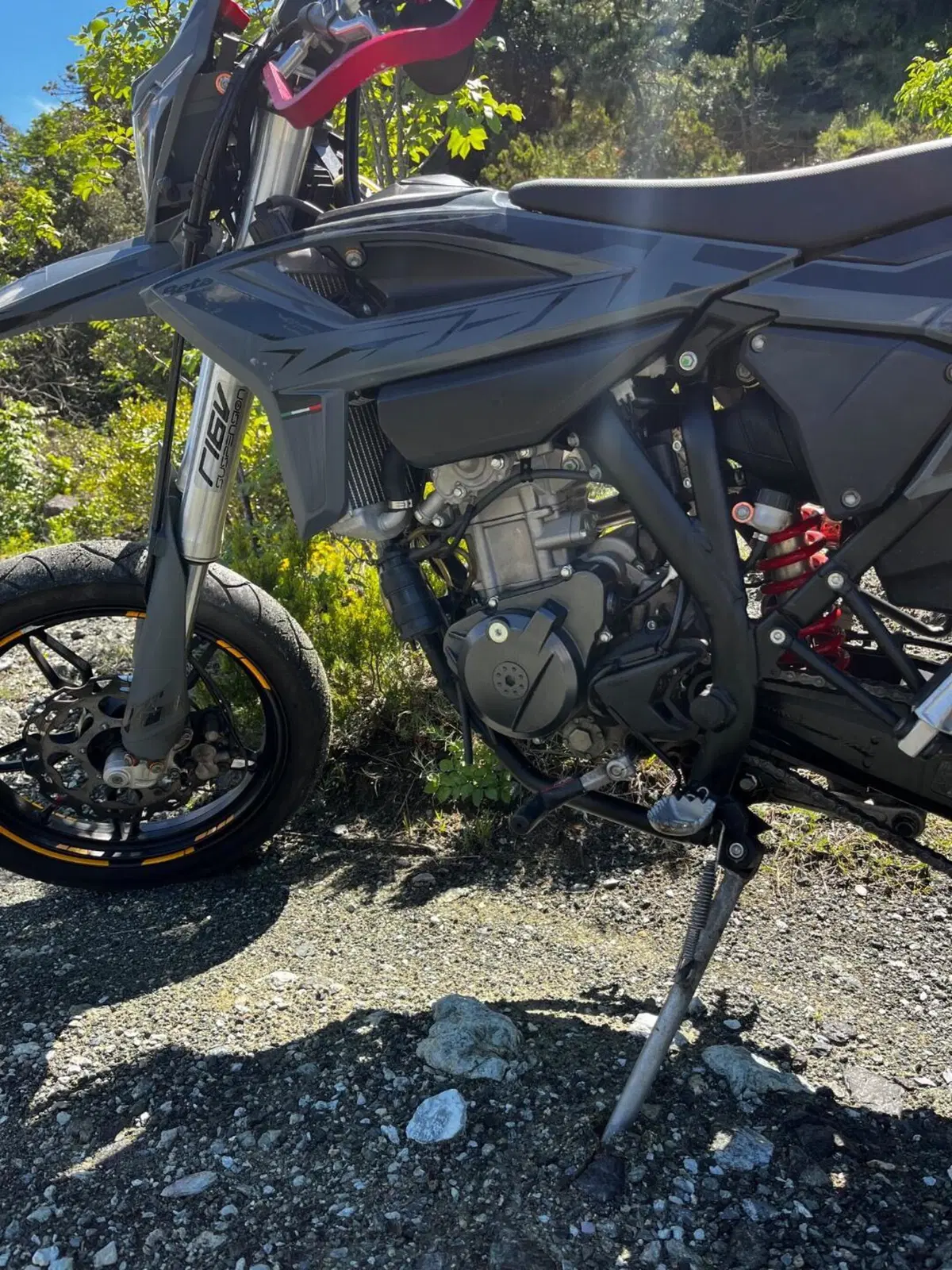 Betamotor RR 125 4T Motard T (2023 - 24) (3)
