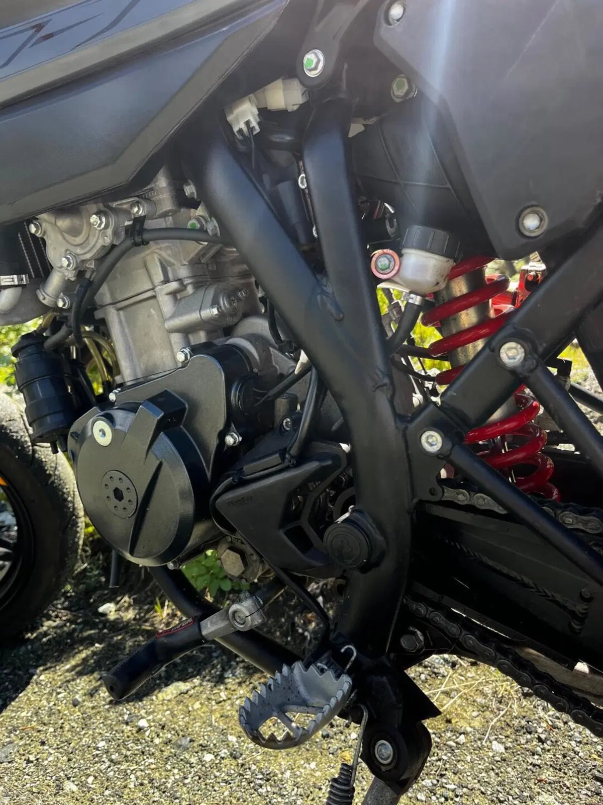 Betamotor RR 125 4T Motard T (2023 - 24) (9)