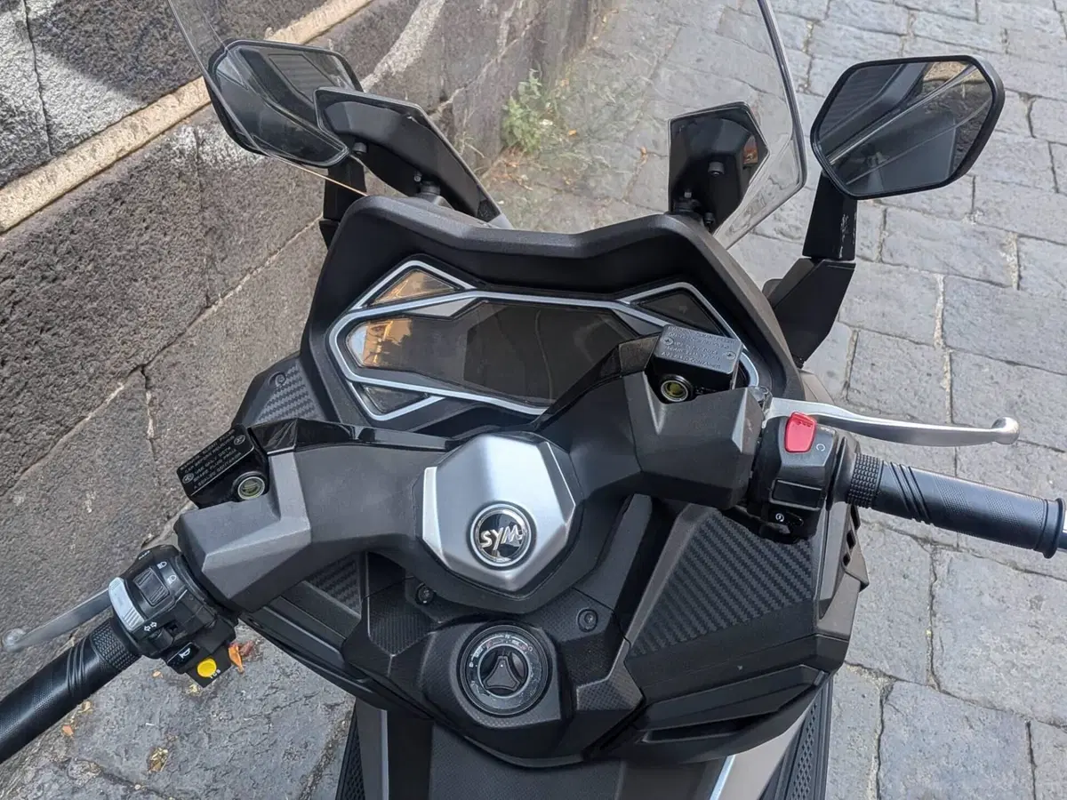 Sym Cruisym 300 (2021 - 24) (3)