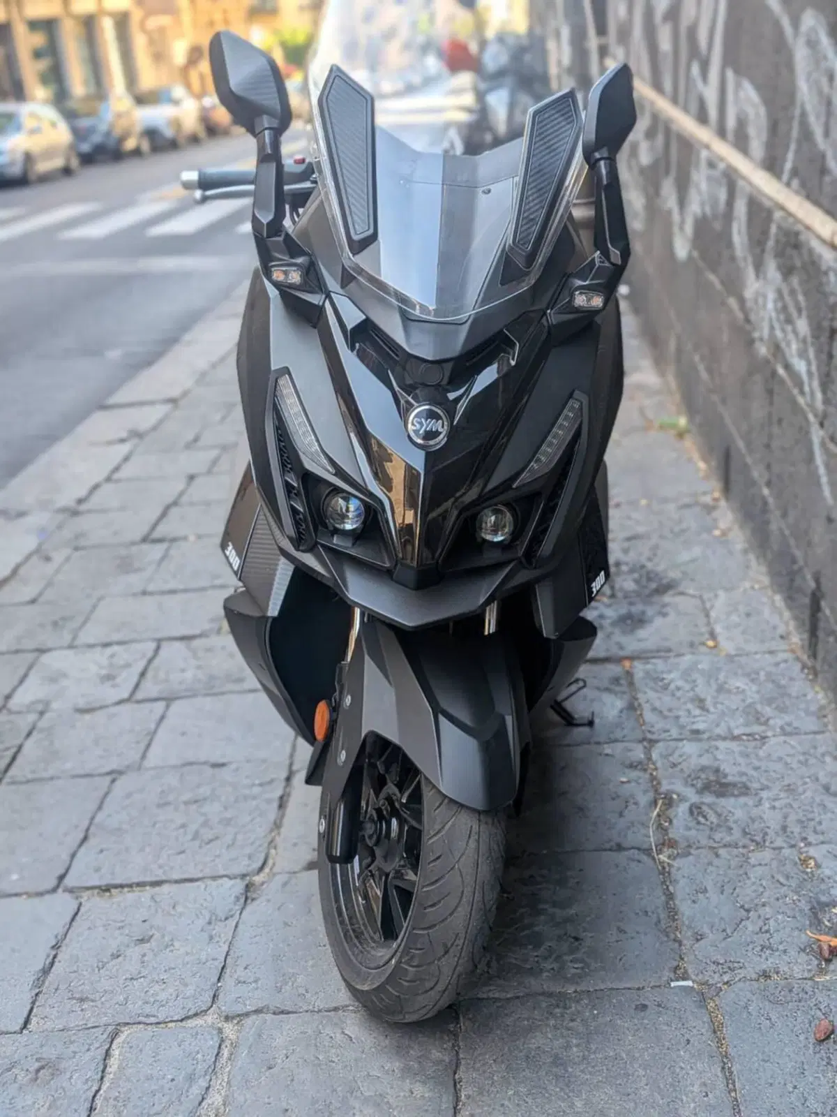Sym Cruisym 300 (2021 - 24) (4)