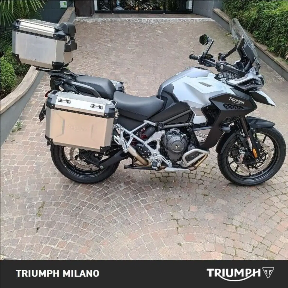 Triumph Tiger 1200 GT Explorer (2024 - 26)