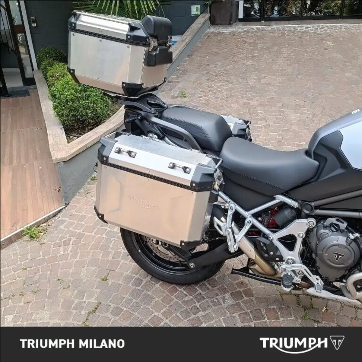 Triumph Tiger 1200 GT Explorer (2024 - 26) (2)