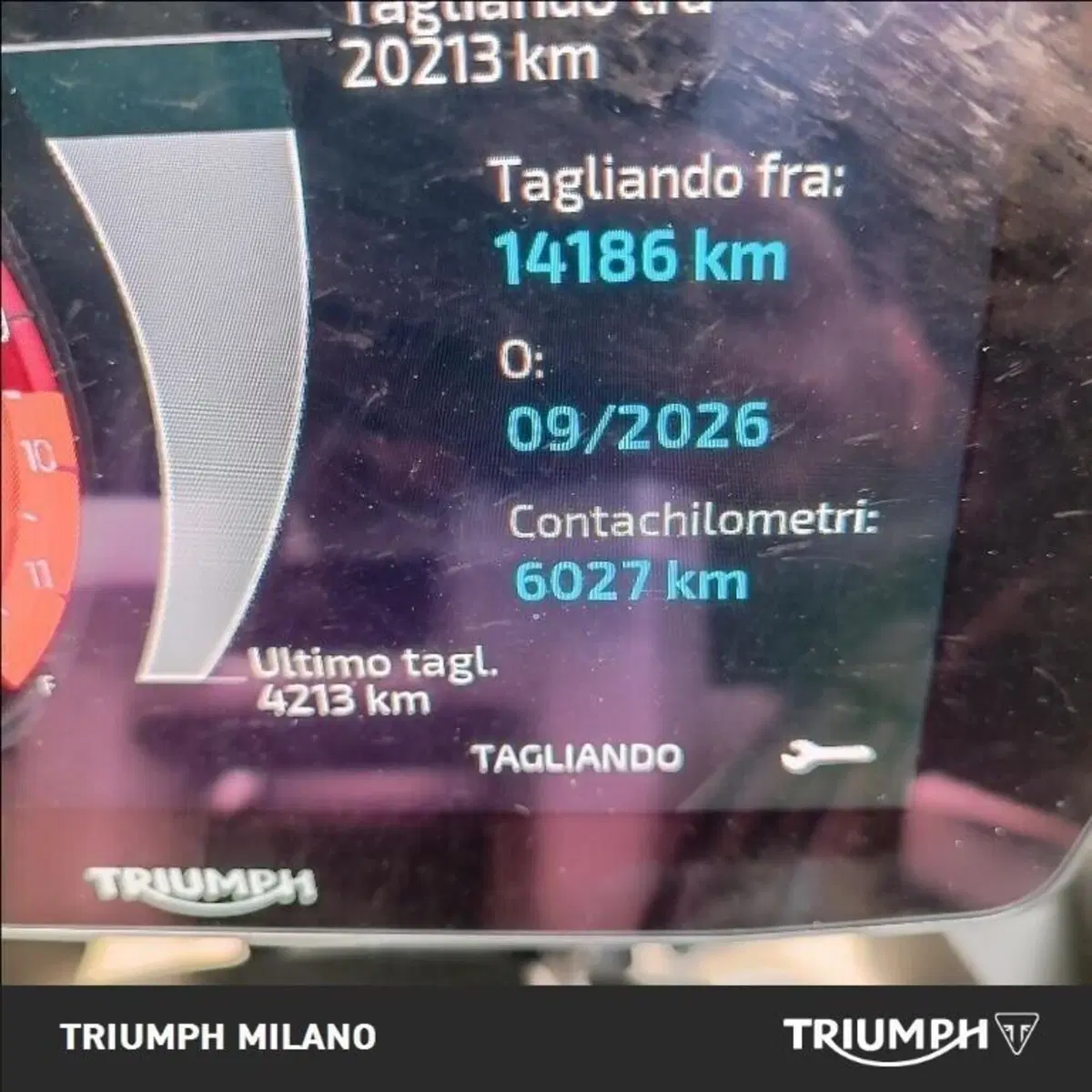 Triumph Tiger 1200 GT Explorer (2024 - 26) (5)