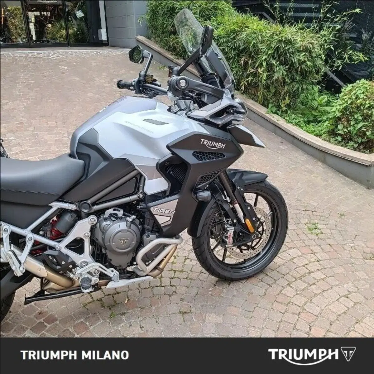 Triumph Tiger 1200 GT Explorer (2024 - 26) (3)