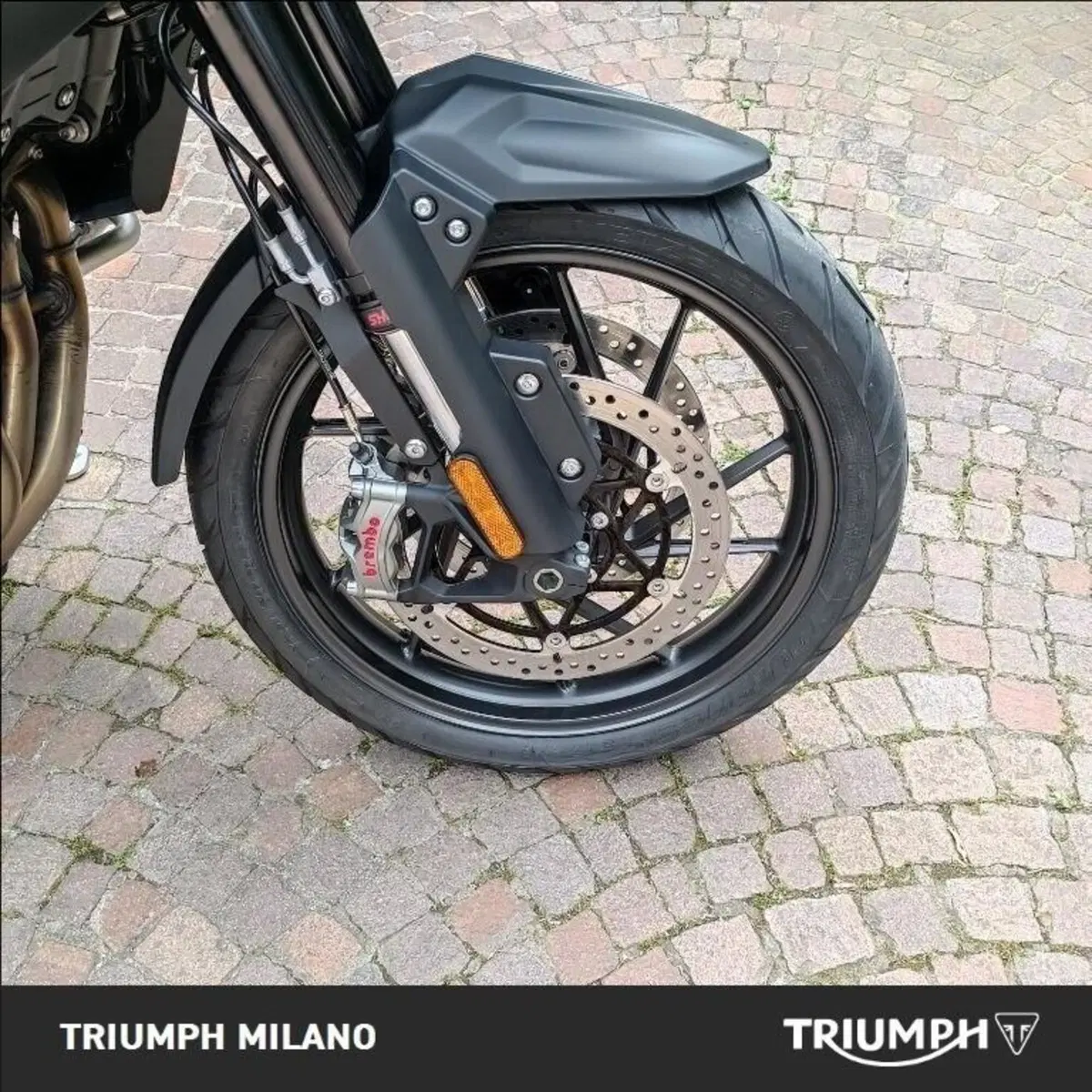 Triumph Tiger 1200 GT Explorer (2024 - 26) (4)