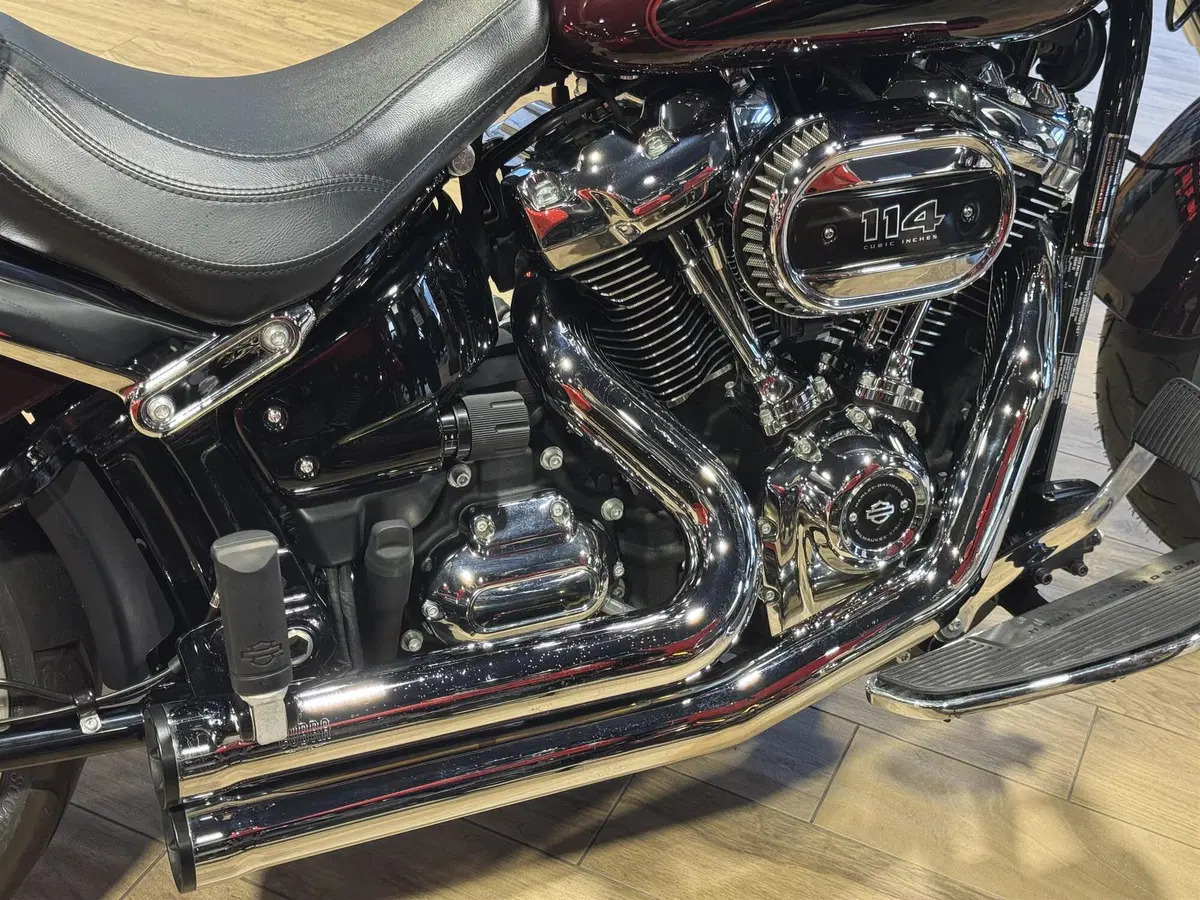 Harley-Davidson Fat Boy 114 (2021 - 24) (3)