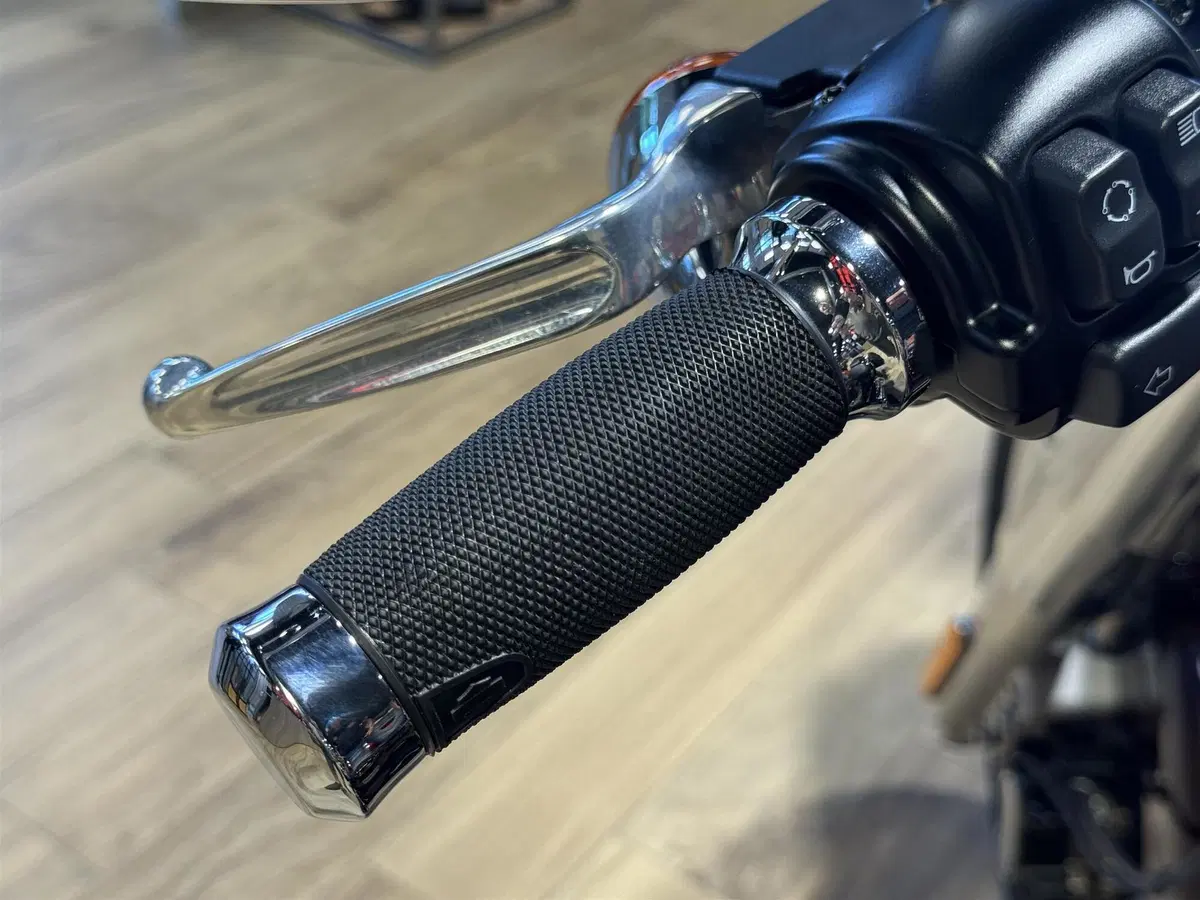 Harley-Davidson Fat Boy 114 (2021 - 24) (4)